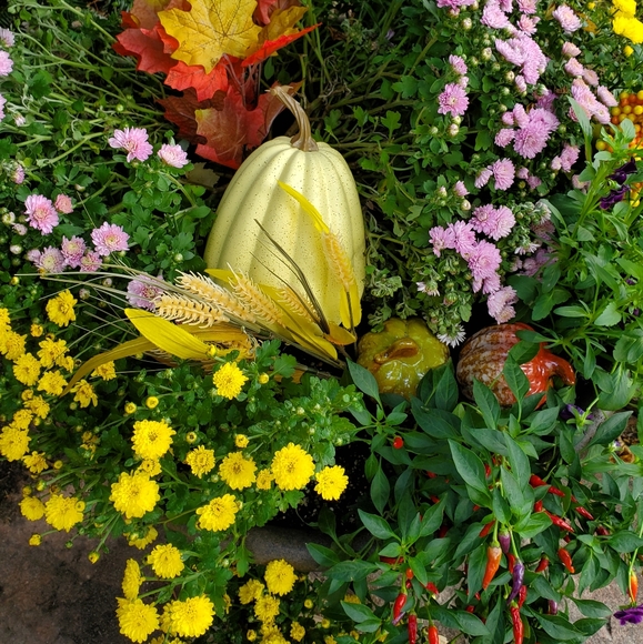 Welcome To My Closet - Picture 1 of 16